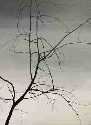 Untitled 2013 acryl op doek acrylic on canvas 73 x 55cm Bryan Ley